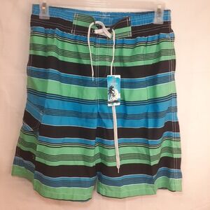 Tailor Pal‎ Love Men's XL Swim Trunks Green Blue Black Stripes